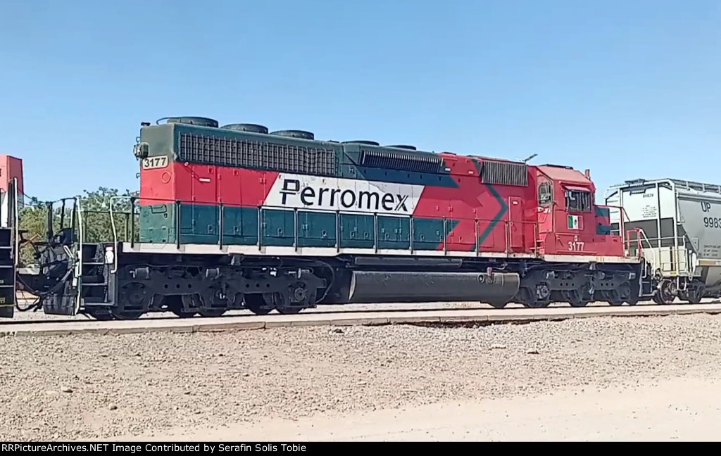 FXE 3177